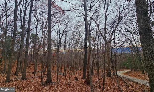 TBD Forest Drive Ext, LURAY, VA, 22835 | Card Image