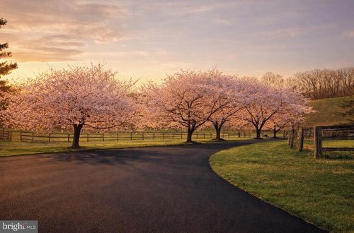 26410 Haines Rd, CLARKSBURG, MD, 20871-9652 | Card Image