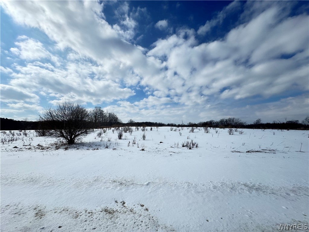 Land in Orangeville 3