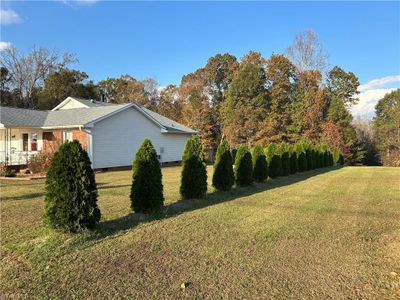 Lovely Buffer on this property! | Image 3