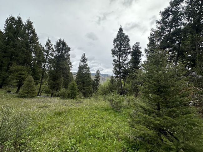50 Juniper Ridge Ln, House other with 1 bedrooms, 0 bathrooms and null parking in Drummond MT | Image 24