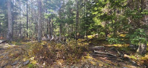 Lot Woods Rd, Bayswater, NS, B0J | Card Image