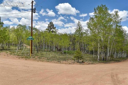 55 Aspen Way Drive, Guffey, CO, 80820 | Card Image