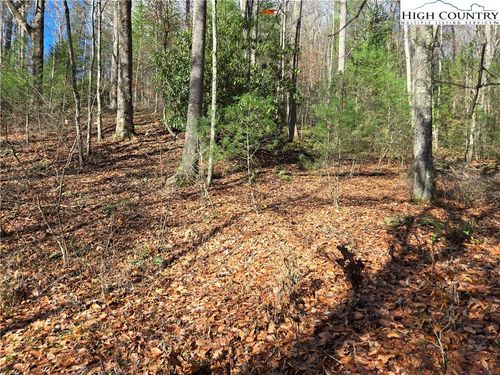 24 Riverstone Dr, Laurel Springs, NC, 28644 | Card Image