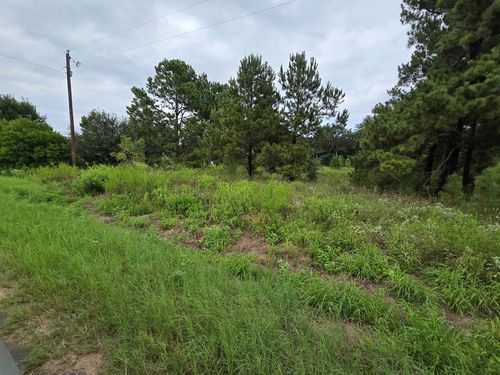 365 An County Road 4593, Palestine, TX, 75803-1810 | Card Image