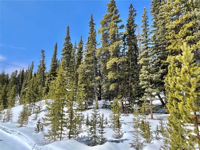 676 Dry Gulch Rd, Home with 0 bedrooms, 0 bathrooms and null parking in Fairplay CO | Image 35