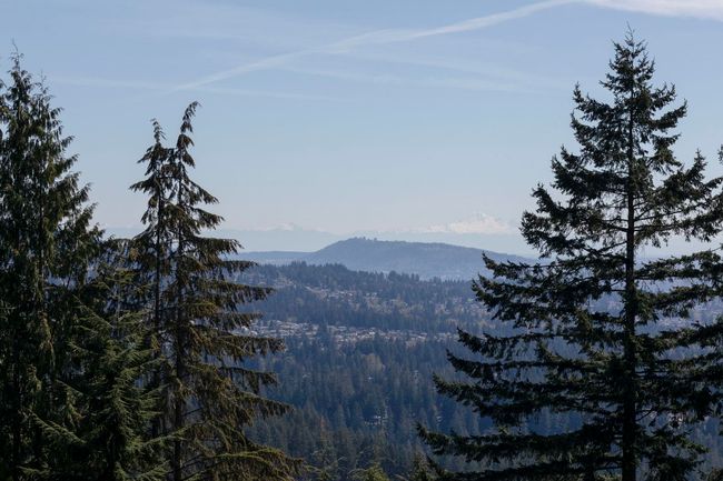Mountain view with a forest view | Image 22