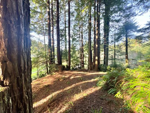 000 Spears Rd, Eureka, CA, 95503 | Card Image