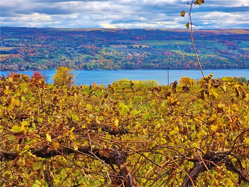 5506 State Route 14, Dundee, NY, 14837-8827 | Card Image