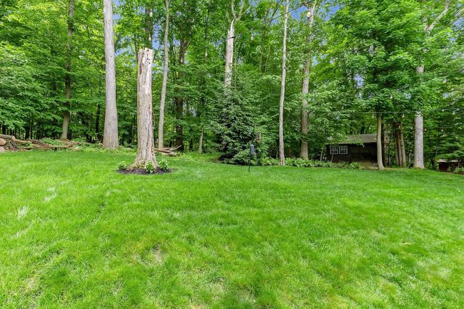 Nice back yard, shed in the background | Image 52