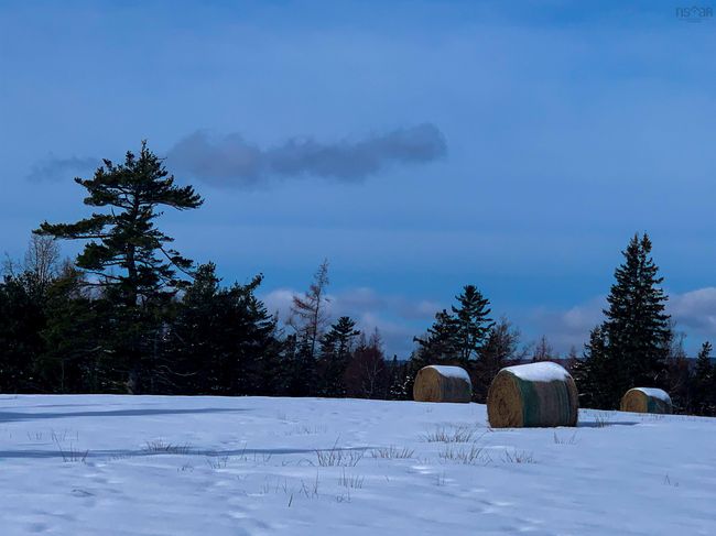 10353 Marble Mountain Rd, House other with 4 bedrooms, 2 bathrooms and 4 parking in Orangedale NS | Image 45