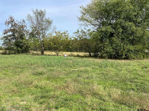 TBD Us Highway 271 N, Pittsburg, TX, 75686 | Card Image