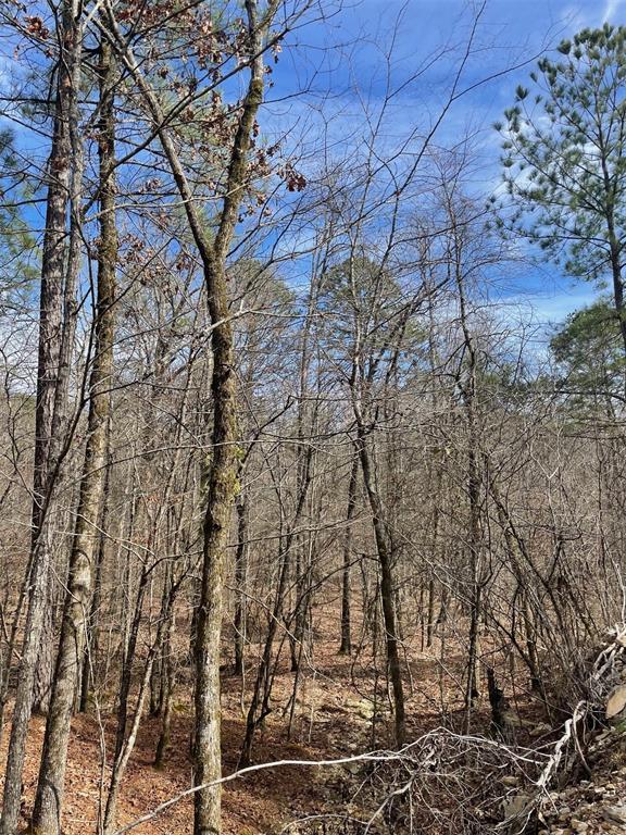 Land in Broken Bow 3