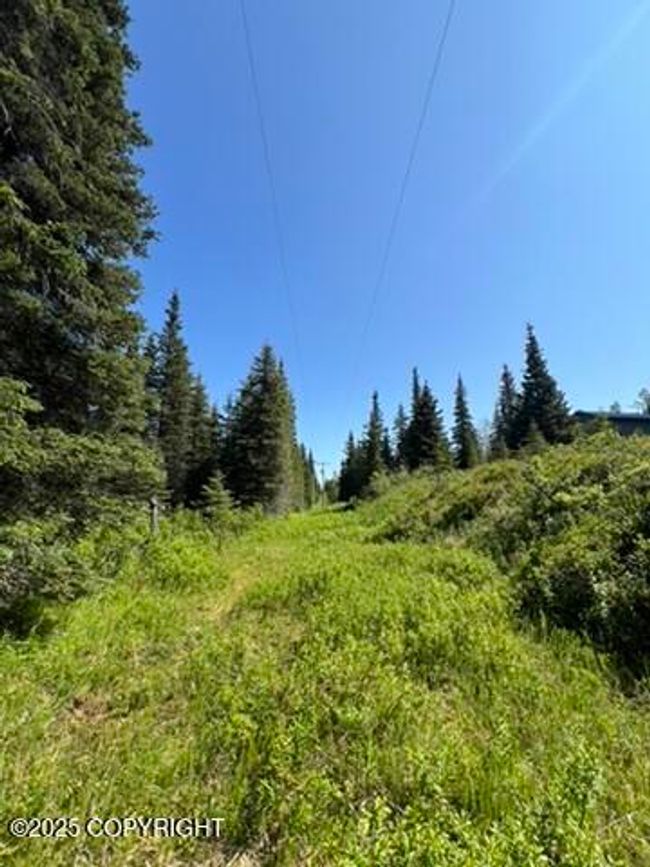 Powerline path | Image 8