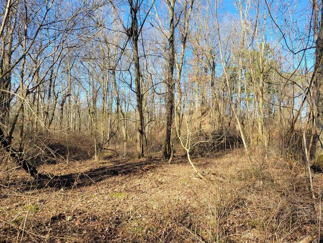 1250 Ashby Rd, Home with 0 bedrooms, 0 bathrooms and null parking in Centertown KY | Image 20