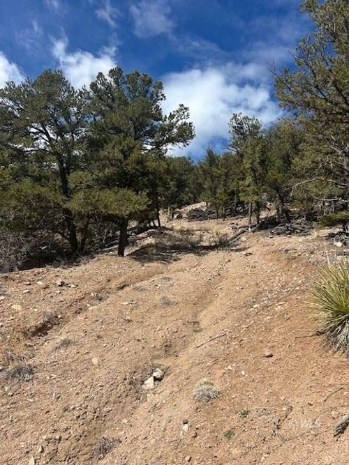 143 Ive Place, Cotopaxi, CO, 81223 | Card Image