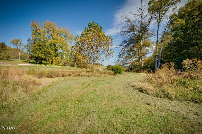 790 Hunting Hill Rd, Home with 0 bedrooms, 0 bathrooms and null parking in Piney Flats TN | Image 5