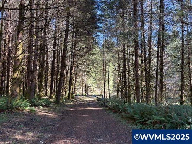 0 Logsden Rd, Home with 0 bedrooms, 0 bathrooms and null parking in Blodgett OR | Image 15
