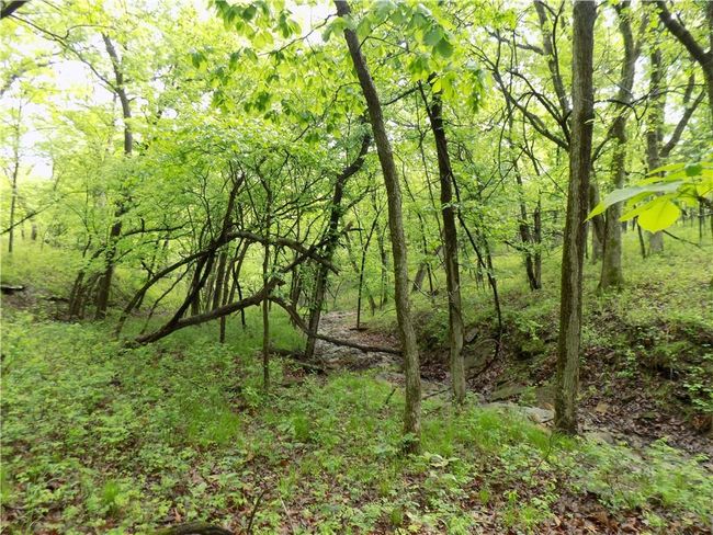 1267 Rock Creek Rd, Home with 0 bedrooms, 0 bathrooms and null parking in Williamsburg KS | Image 18