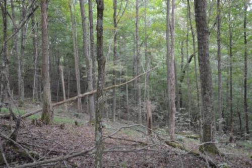 5.78ac West Ln, Gainesboro, TN, 38562 | Card Image