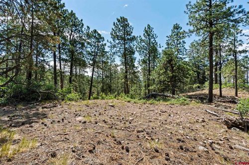 319 Blue Ridge Cir, Bayfield, CO, 81122-9838 | Card Image