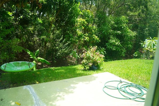 BACK OF HOME | Image 6