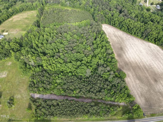 dji_fly_20250513_172756_580_174717169667 | Image 4