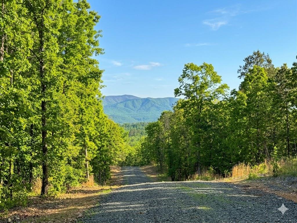 Land in Watson 4