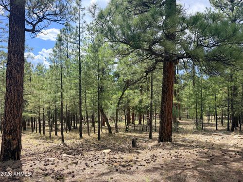 589-3212 Apache Dr, Happy Jack, AZ, 86024-8832 | Card Image