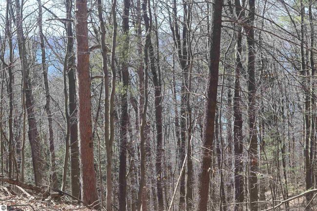 lot 4 Crystal Ridge Dr, Home with 0 bedrooms, 0 bathrooms and null parking in Beulah MI | Image 7