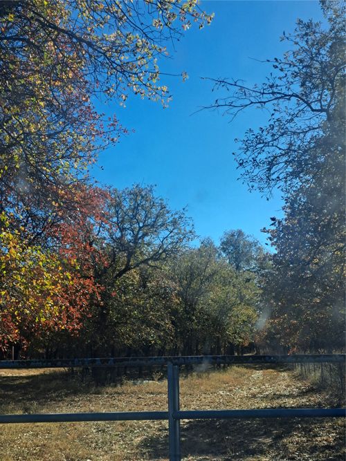 20.987 acres TBD FM 3368, Hawley, TX, 78525 | Card Image