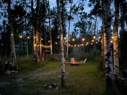 {{alt}} | Card Image