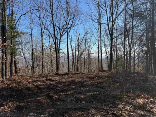 TBD County Road 5261, Oark, AR, 72852 | Card Image