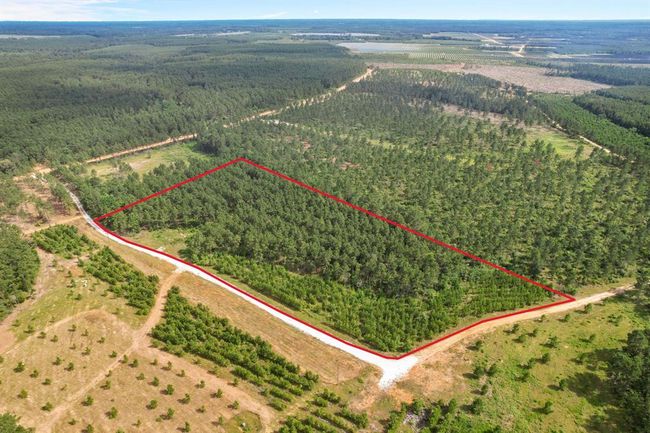 Approximate Property Area | Image 4