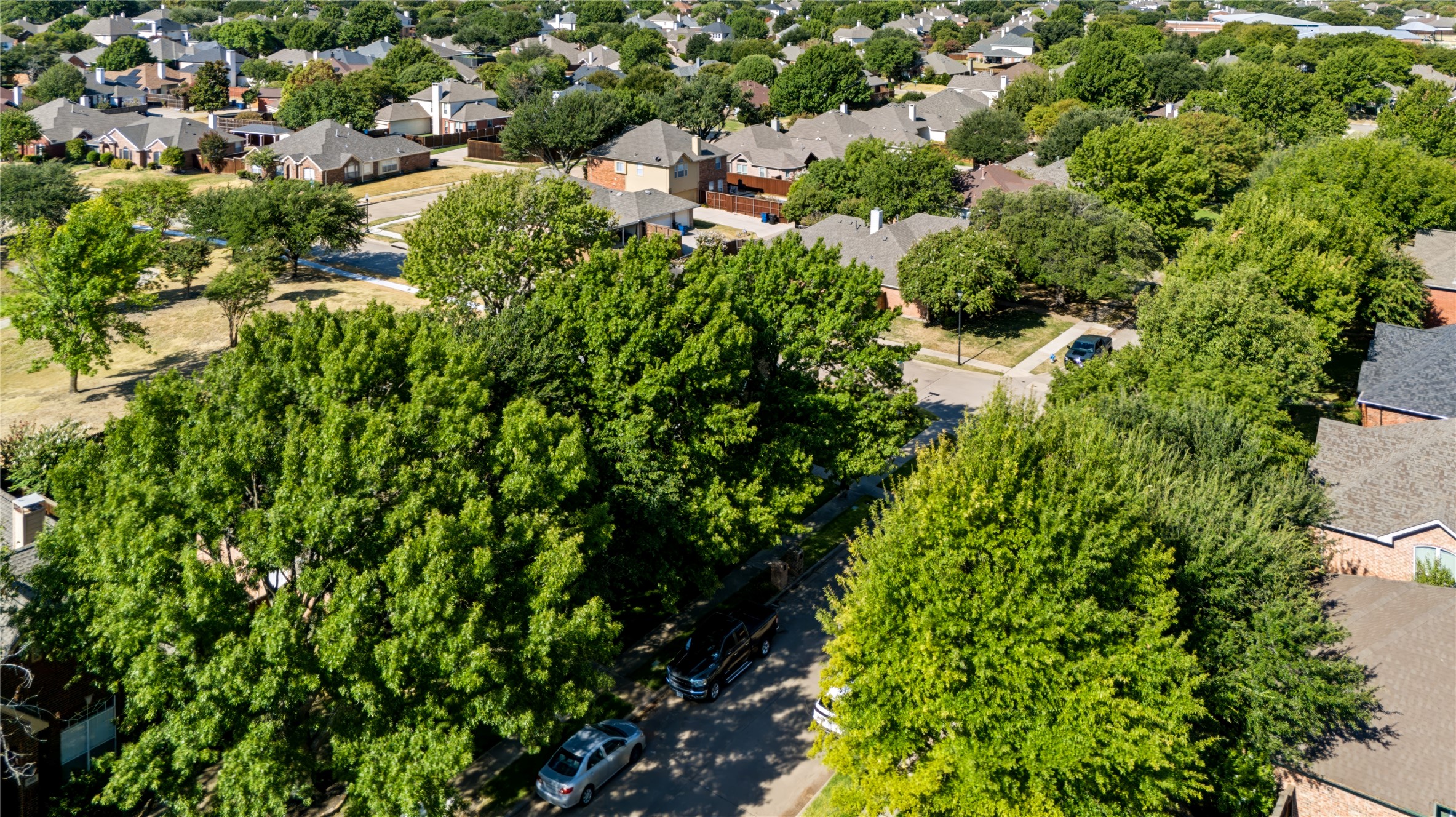 Residential in Frisco 5