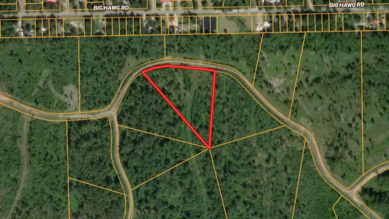 Land in Trinity