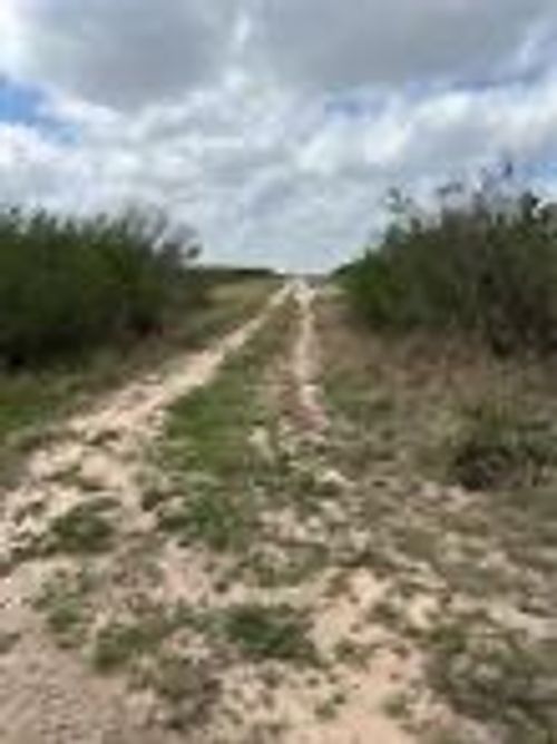 0 Blackbrush Spur Road, George West, TX, 78022 | Card Image