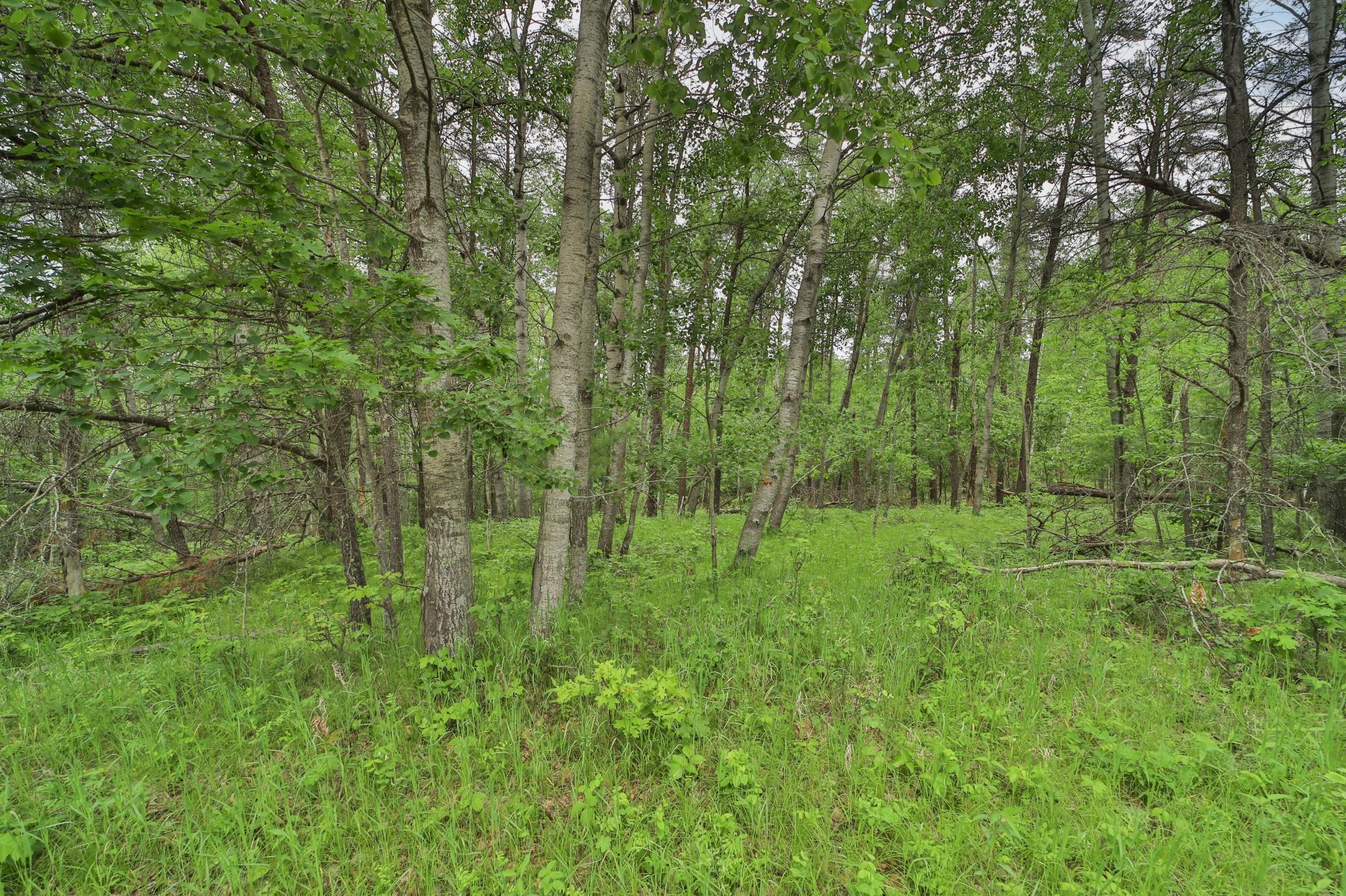 Land in Breezy Point 5