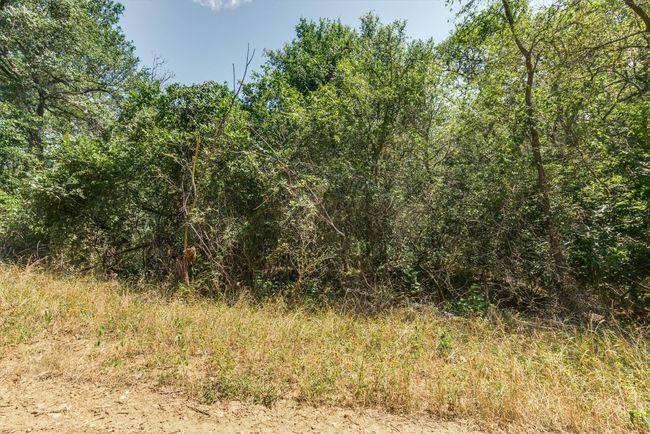 650 Kaukonahua Ln, Home with 0 bedrooms, 0 bathrooms and null parking in Bastrop TX | Image 4
