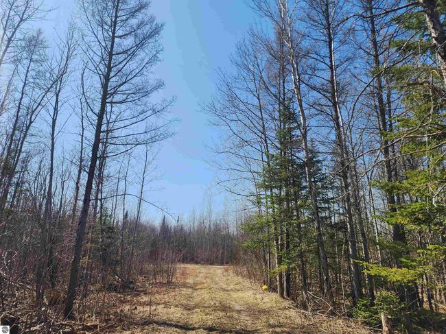000 Old M 66 Nw, Home with 0 bedrooms, 0 bathrooms and null parking in Kalkaska MI | Image 7