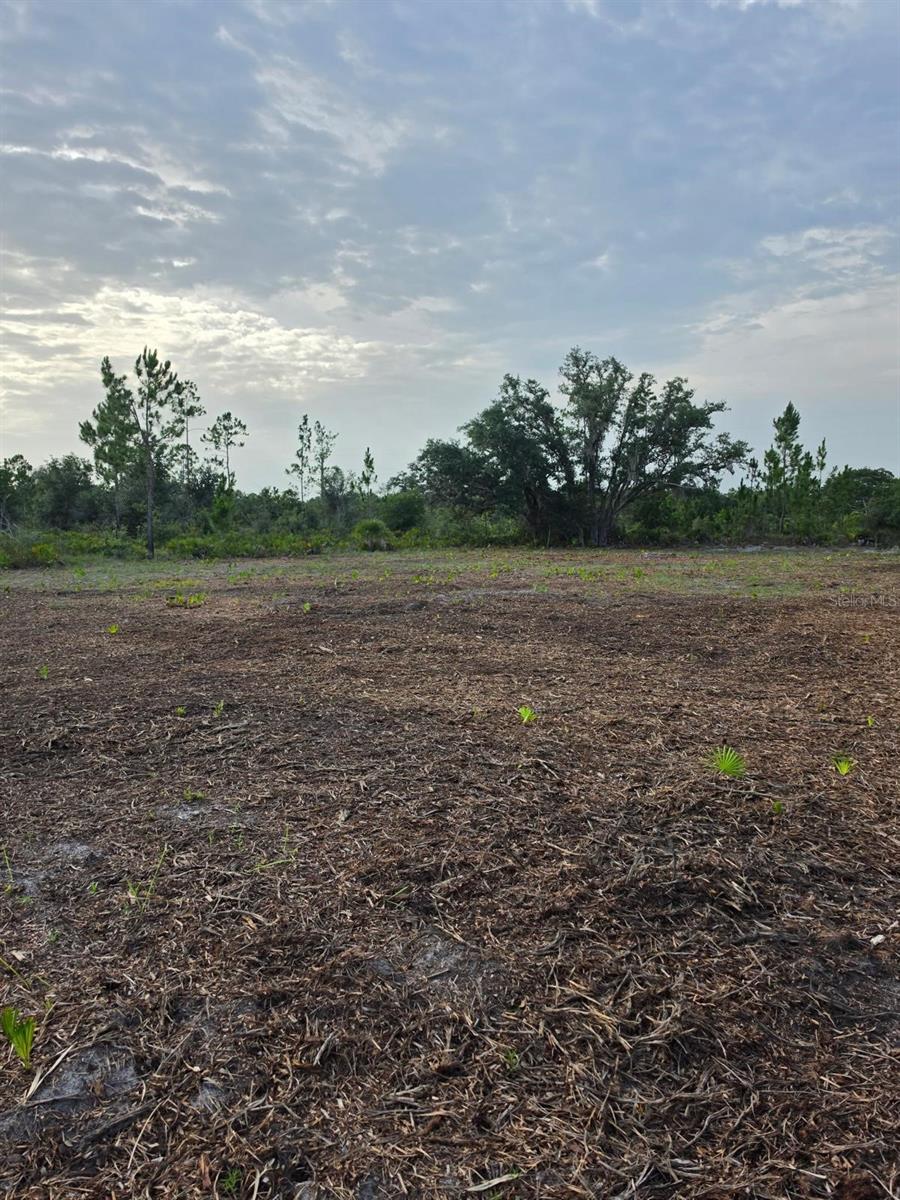 Land in INDIAN LAKE ESTATES 2