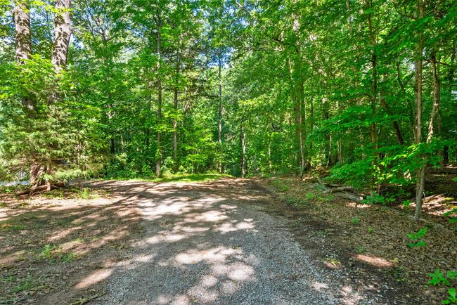 0 Happy Hills Acre Rd, Home with 0 bedrooms, 0 bathrooms and null parking in Woodlawn TN | Image 14