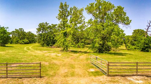 1 Boyd Rd, Madisonville, TX, 77864 | Card Image