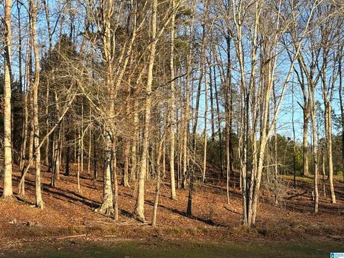 lot-7-Lot 7 County Road 499, WOODLAND, AL, 36280-8442 | Card Image