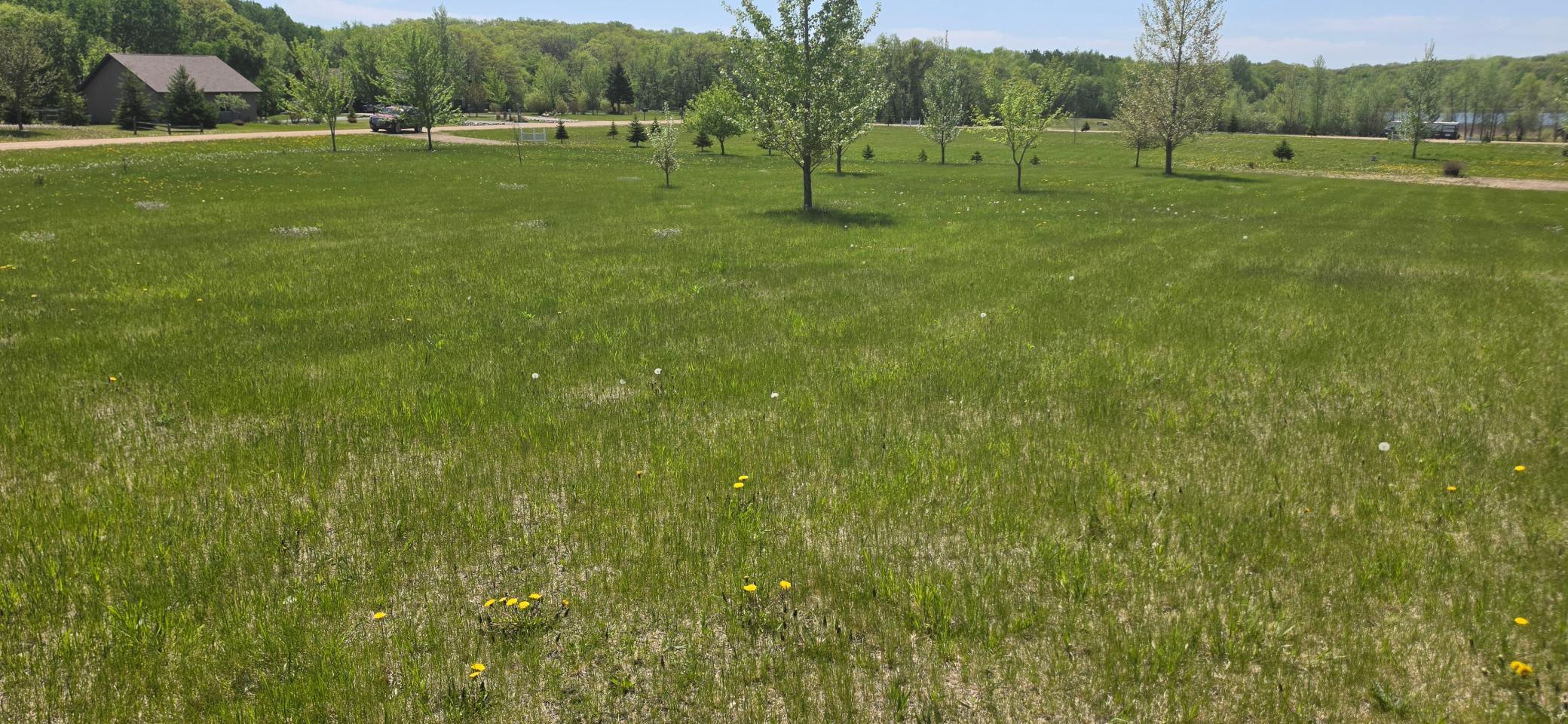 Land in Audubon 5