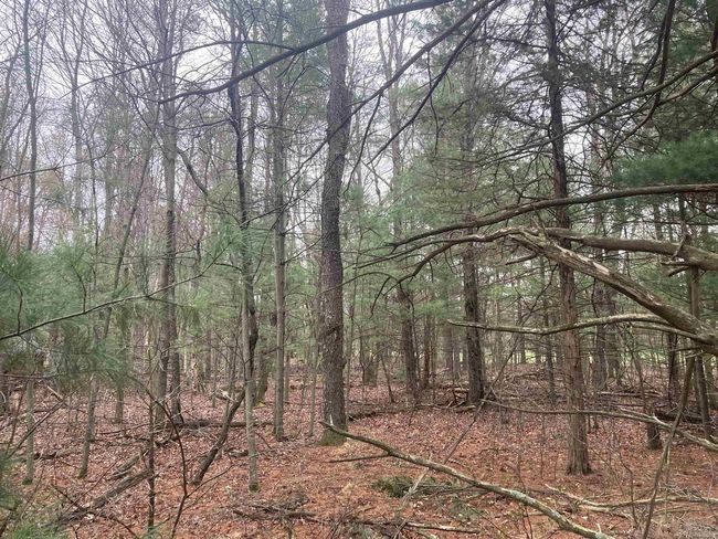 252 Berry Ln, Home with 0 bedrooms, 0 bathrooms and null parking in Wisconsin Dells WI | Image 20
