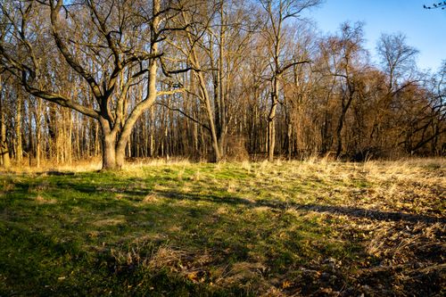 00 Vl Knox, Springfield Charter Township, MI, 48348 | Card Image