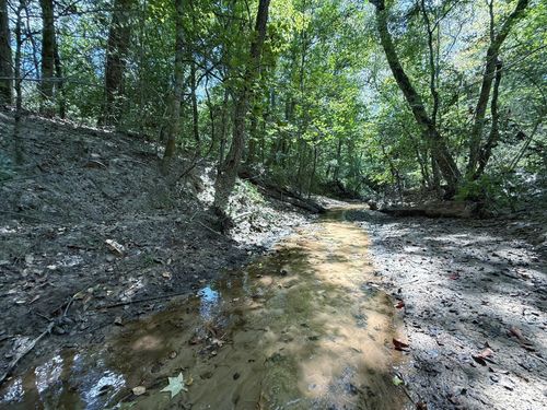 40 ac S Buffalo Ave, Buffalo, TX, 75831-8200 | Card Image