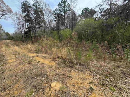 TRACT 4 Kason Dr, Stantonville, TN, 38379-5118 | Card Image