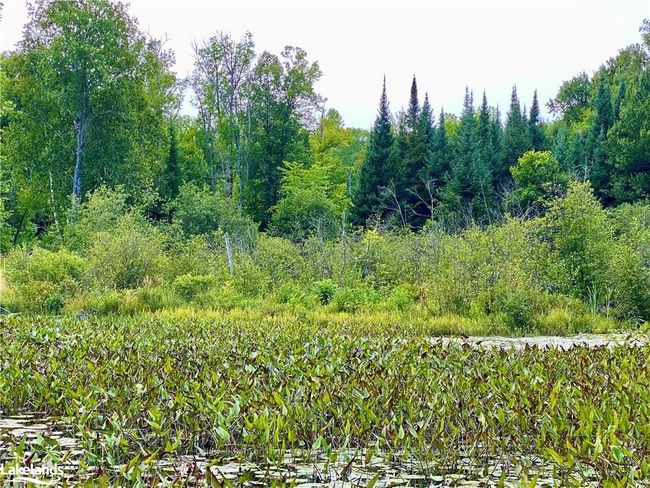 22-A Maple Dr, Home with 0 bedrooms, 0 bathrooms and null parking in Loring ON | Image 10